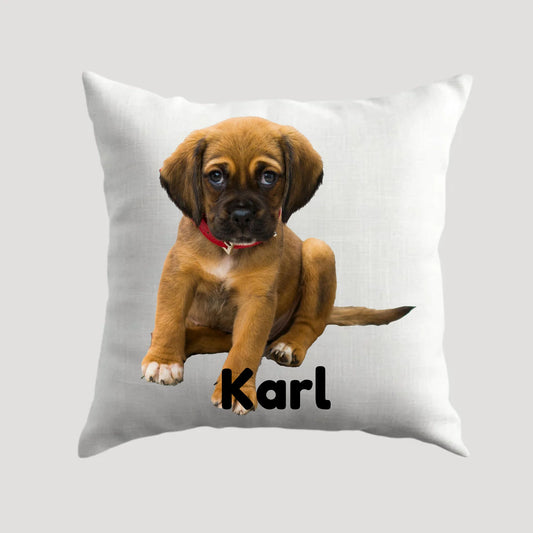 b6fe2643-0d8c-46c9-81b4-b8c8703ddbc2