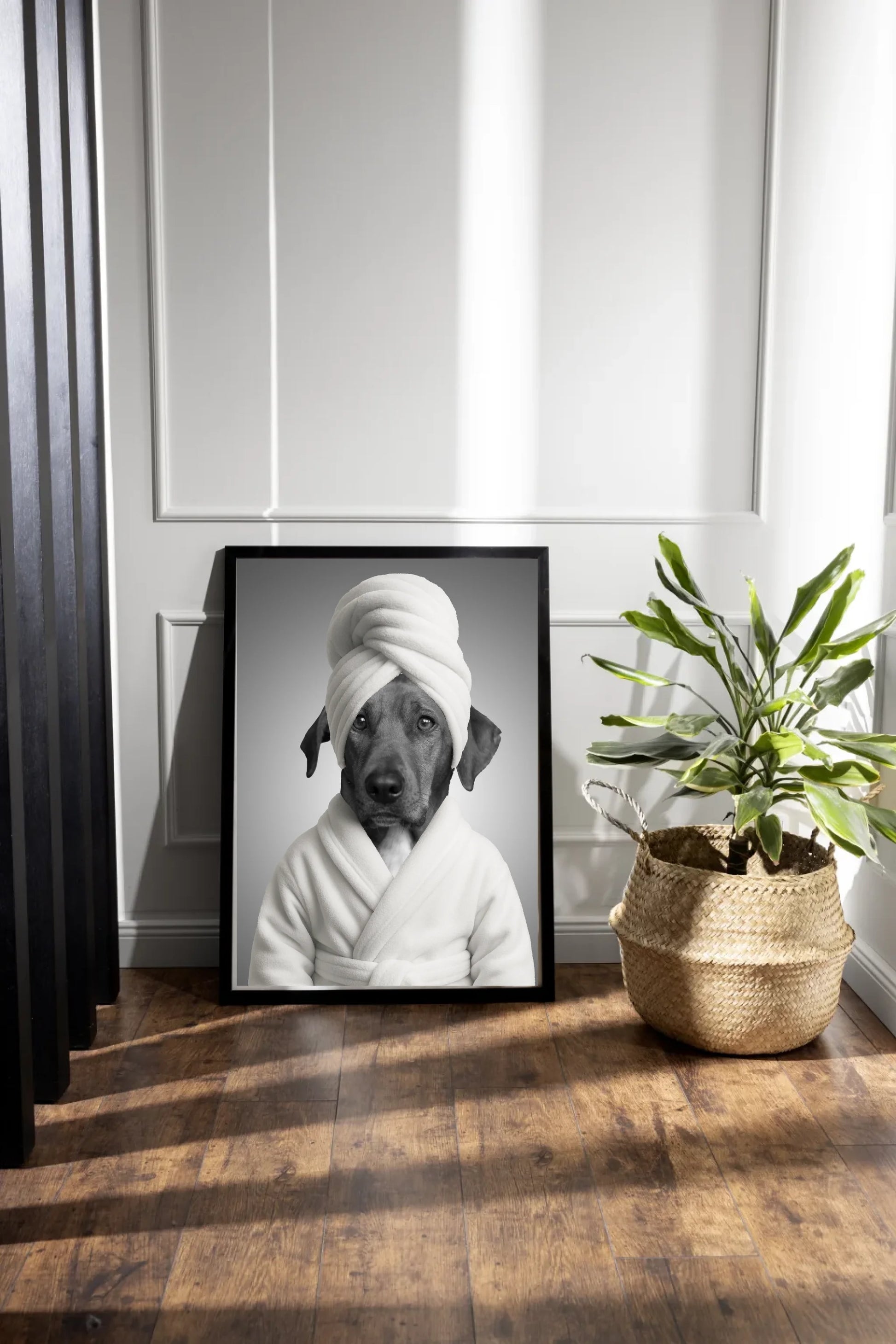 dark-photo-frame-plant-arrangement
