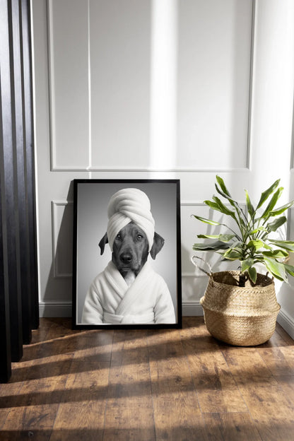 dark-photo-frame-plant-arrangement
