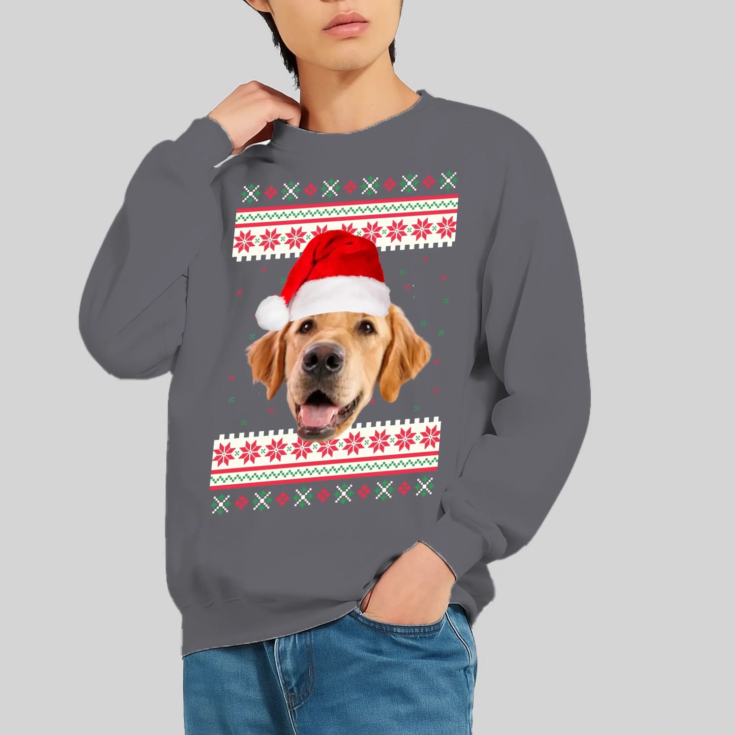 FamilySurprise-Pullover-grau