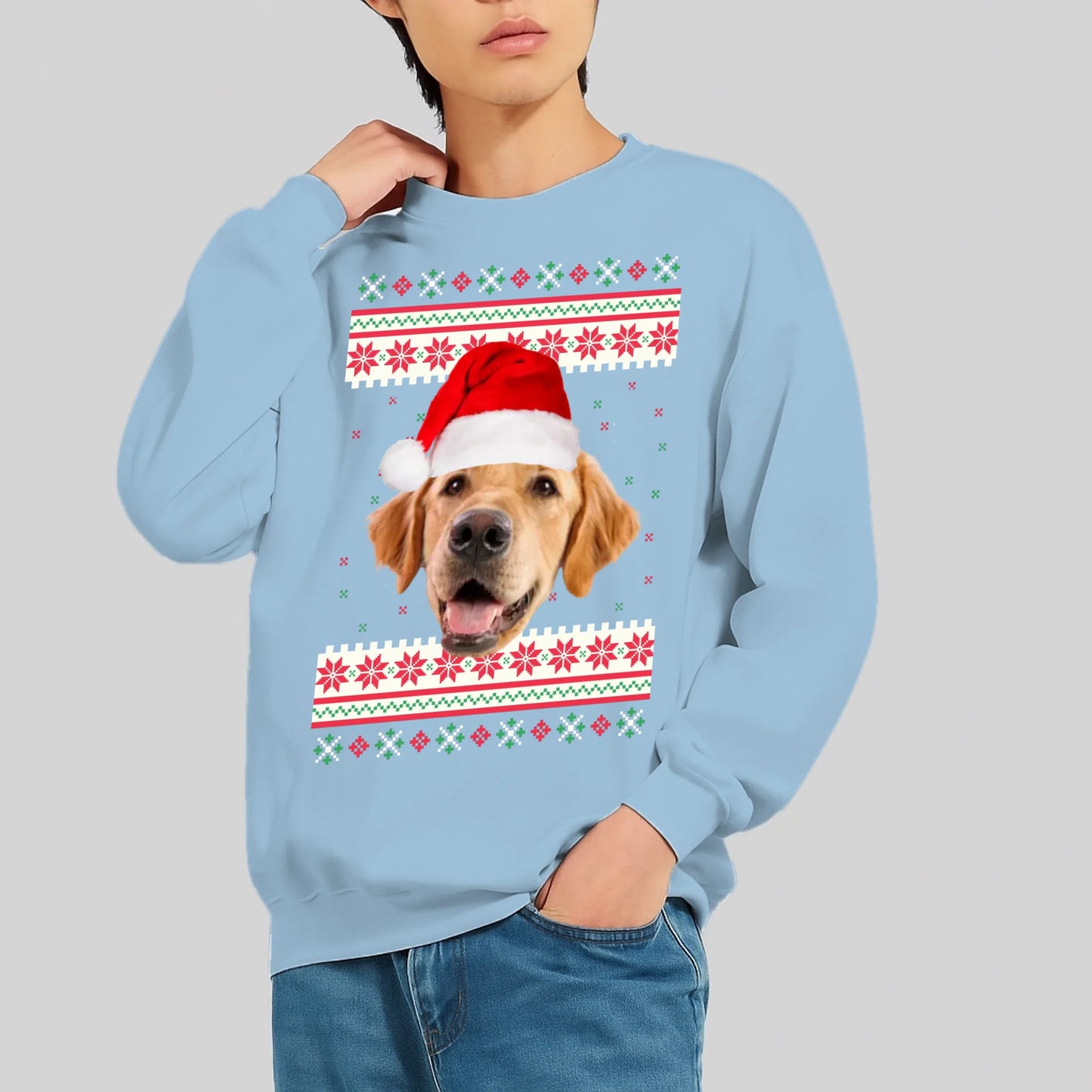 FamilySurprise-Pullover-hellblau