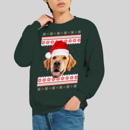 FamilySurprise-Pullover-dunkelgrün