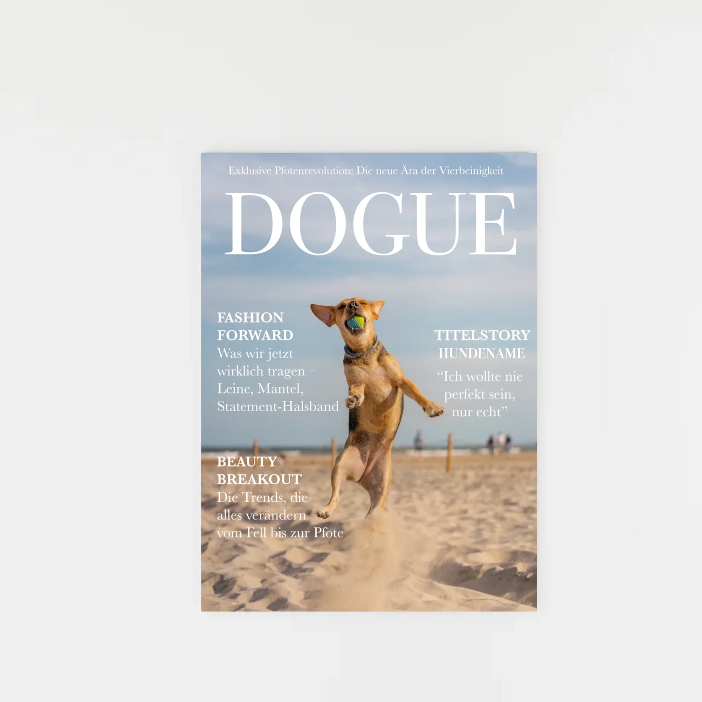 decorative-empty-frame_hoch