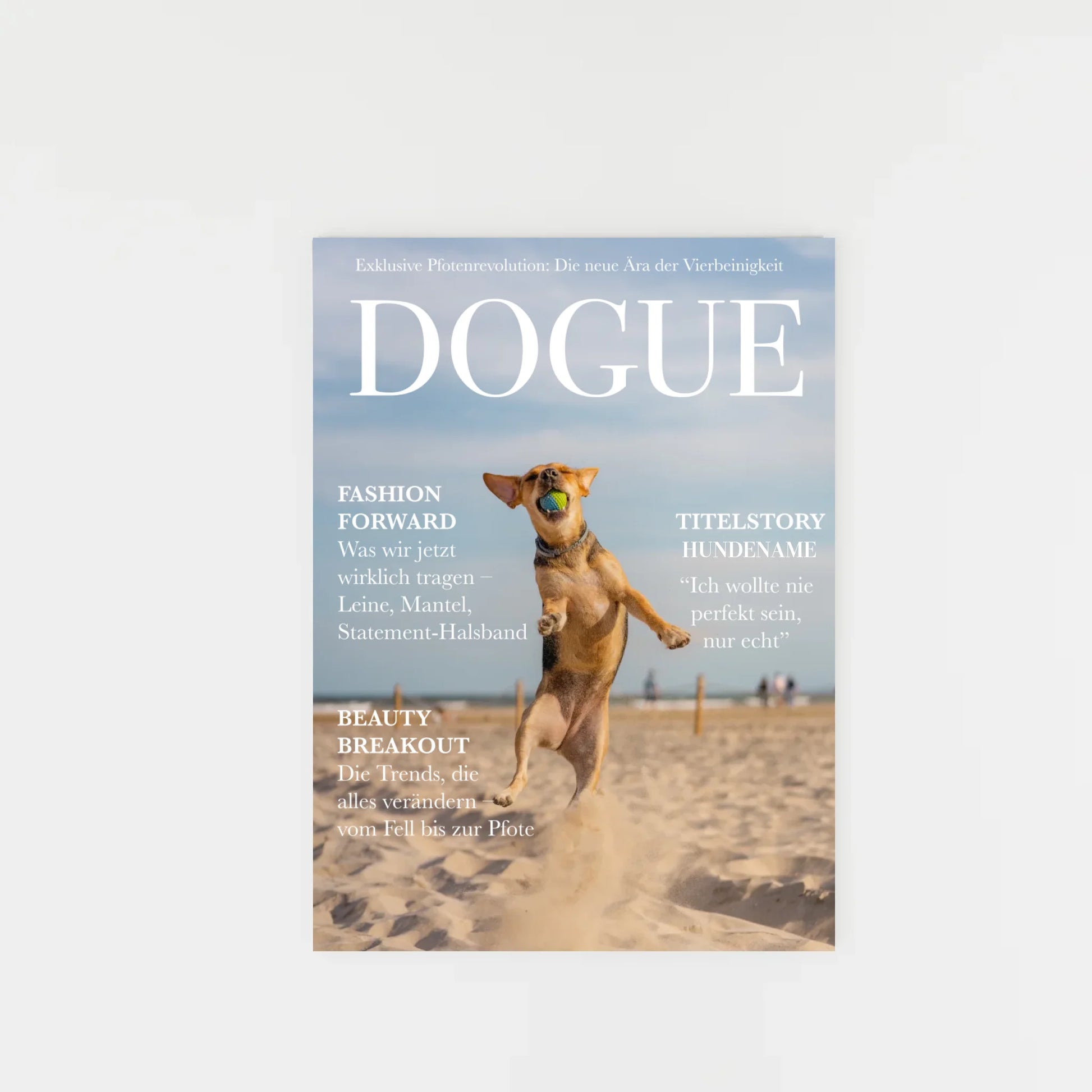 decorative-empty-frame_hoch