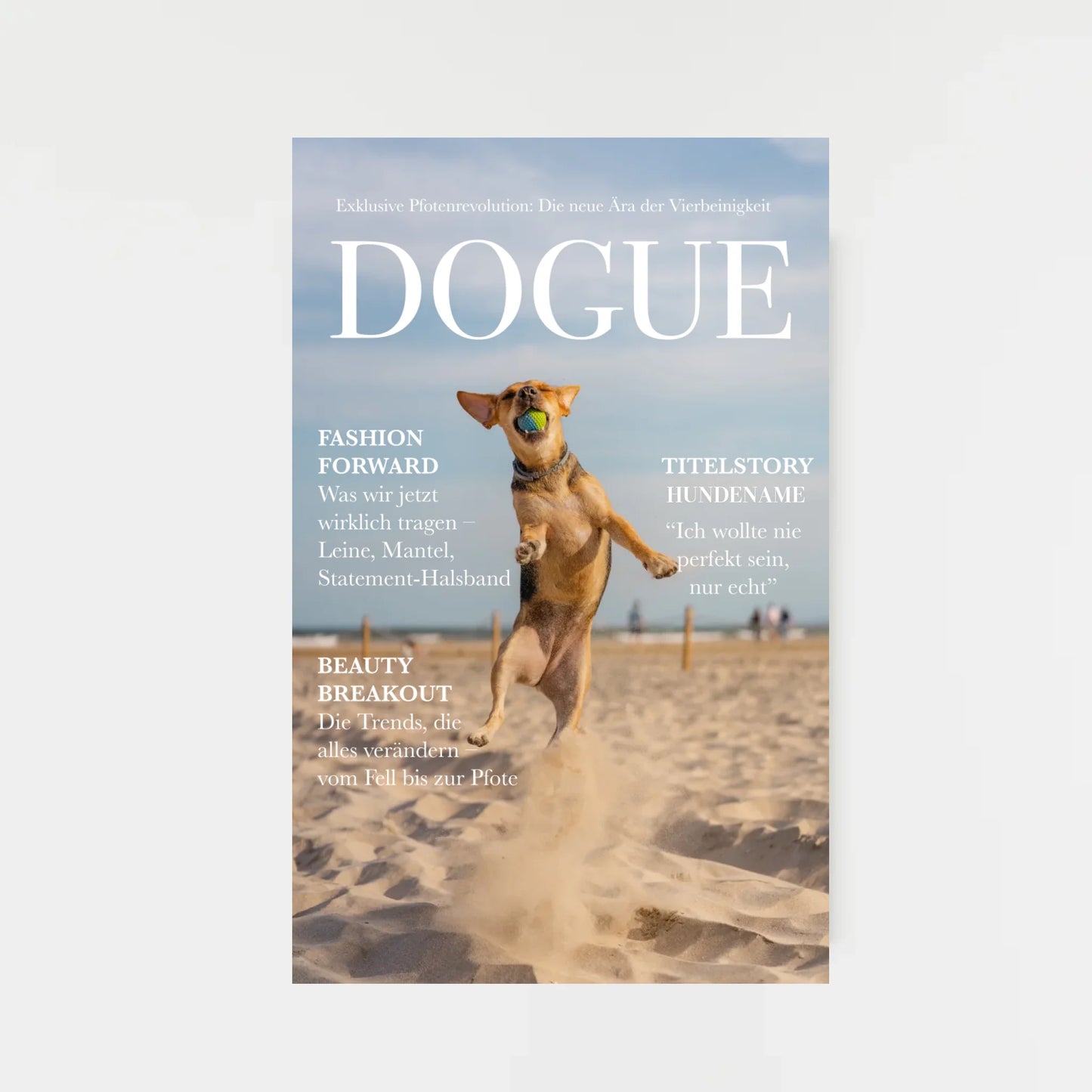 decorative-empty-frame_hoch