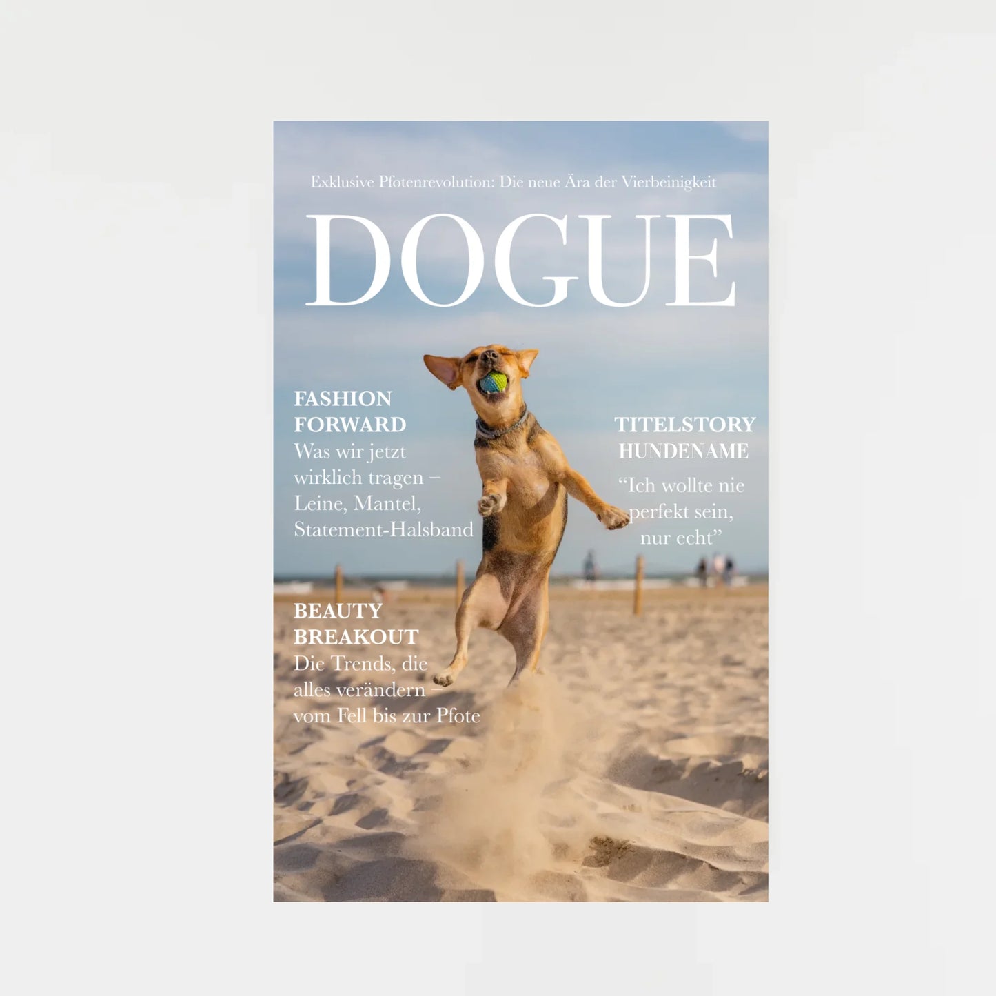 decorative-empty-frame_hoch