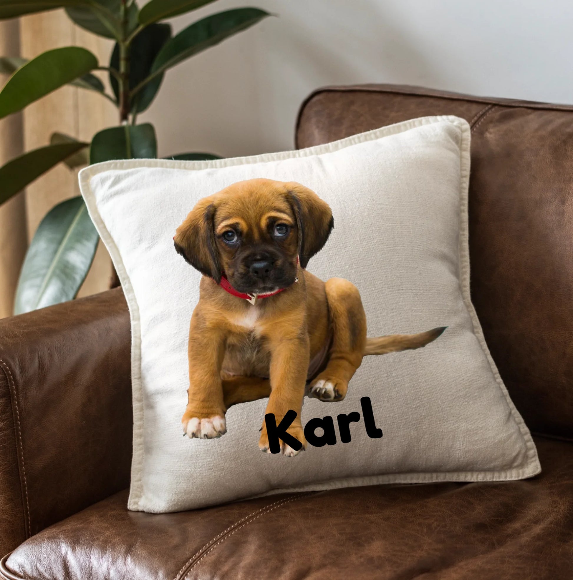 FamilySurprise-personalisiertes-kissen