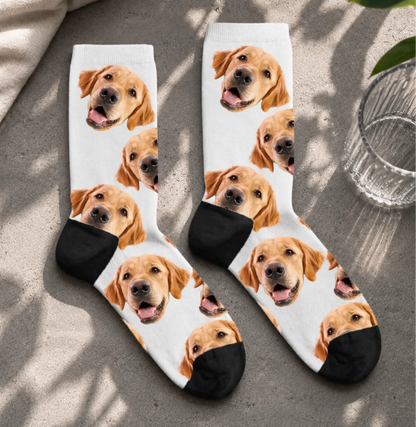 FamilySurprise-Socken1