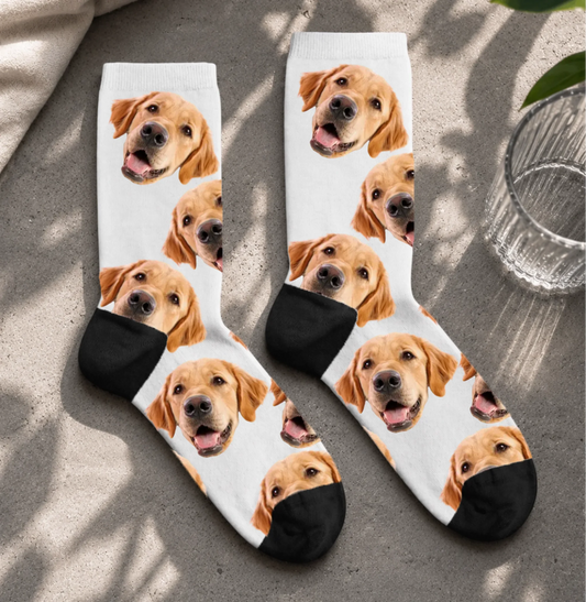 FamilySurprise-Socken1