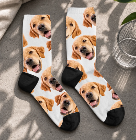 FamilySurprise-Socken1