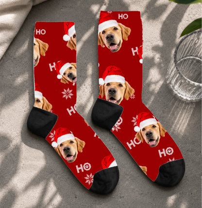 FamilySurprise-Socken1